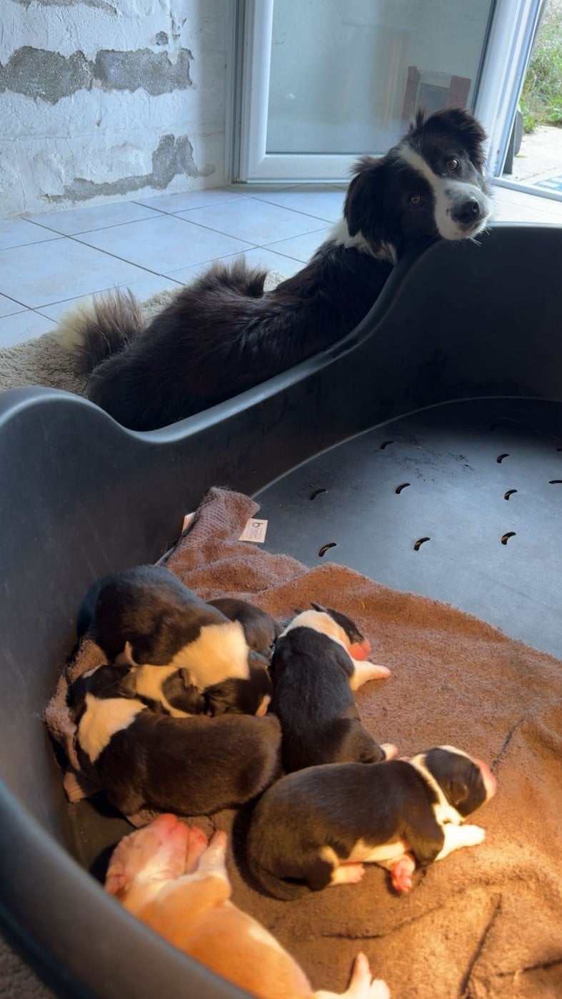 Publication : De La Cité Des Peintres