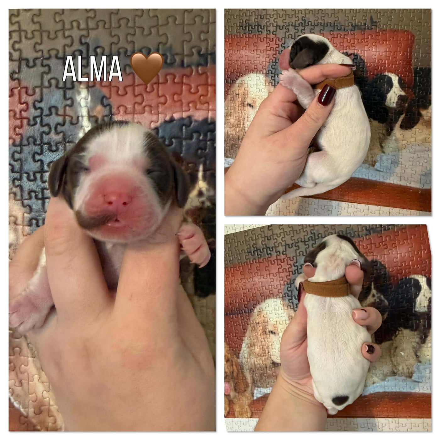 Alma