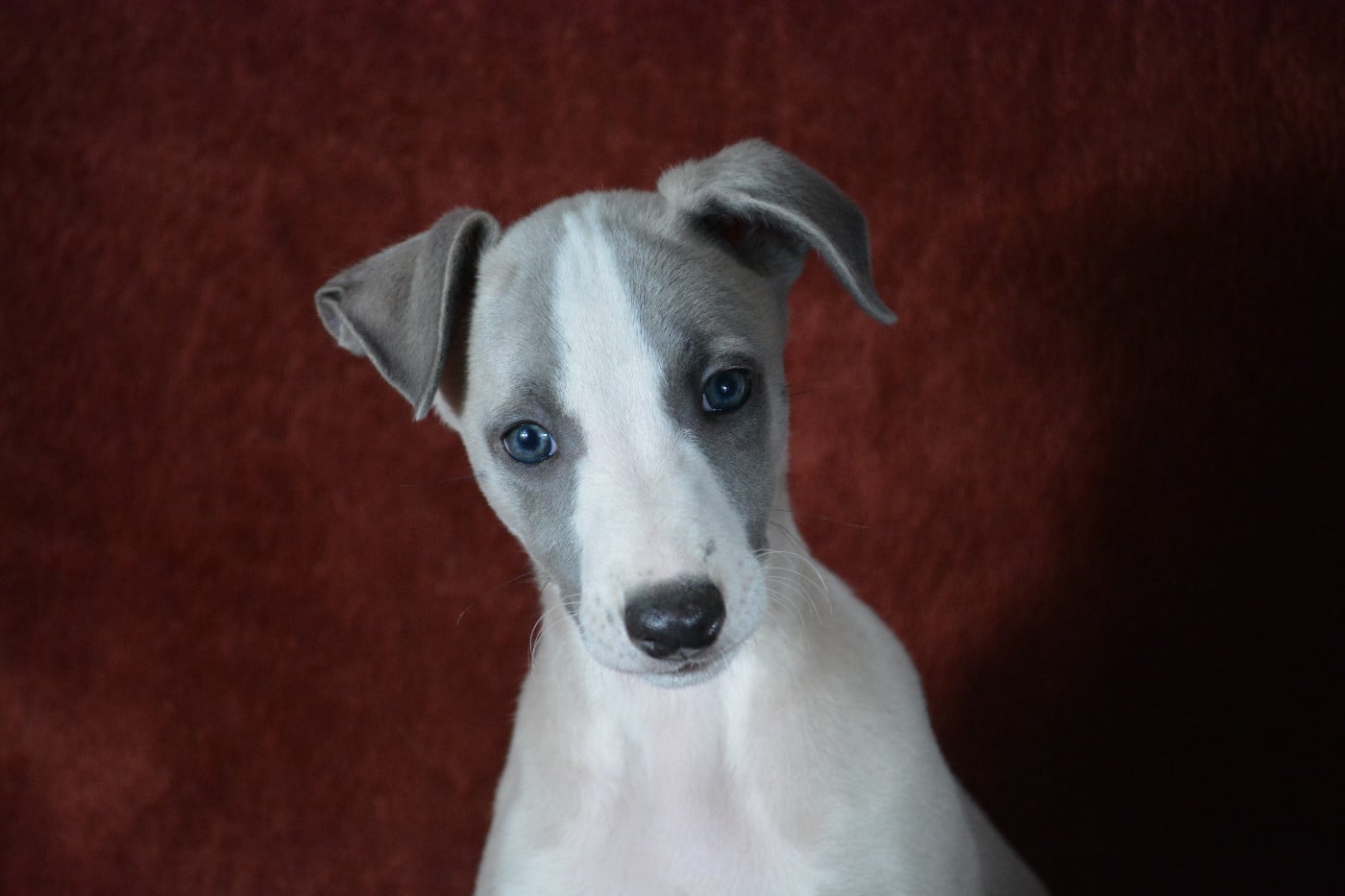 BILLY