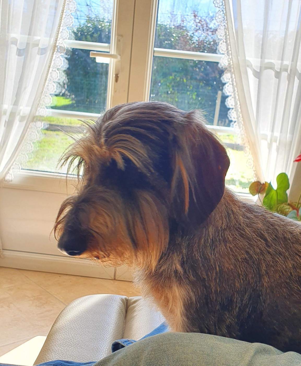 Rêva Du domaine de saint clair