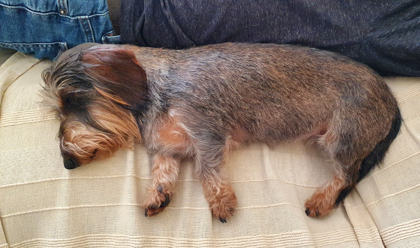 Rêva Du domaine de saint clair