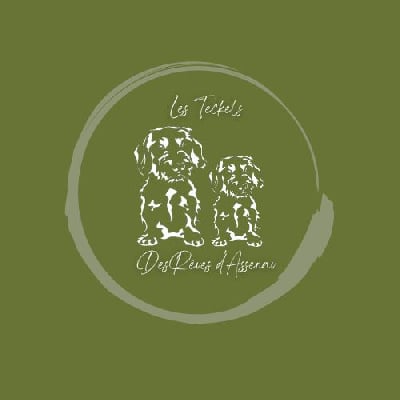 Des Rêves D'Assenav