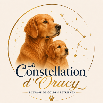 De La Constellation D'Oracy