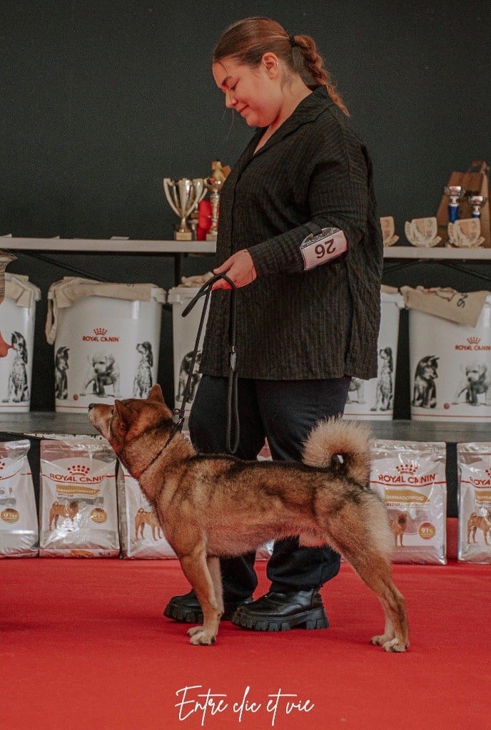 Snow de la jassette du cap del mas