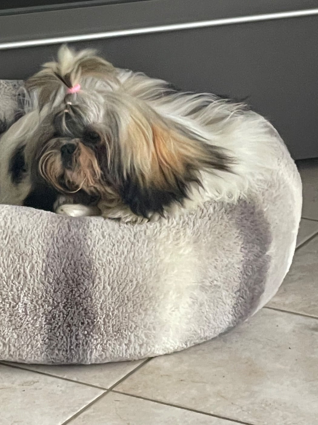 Publication : The Tresors by Lou