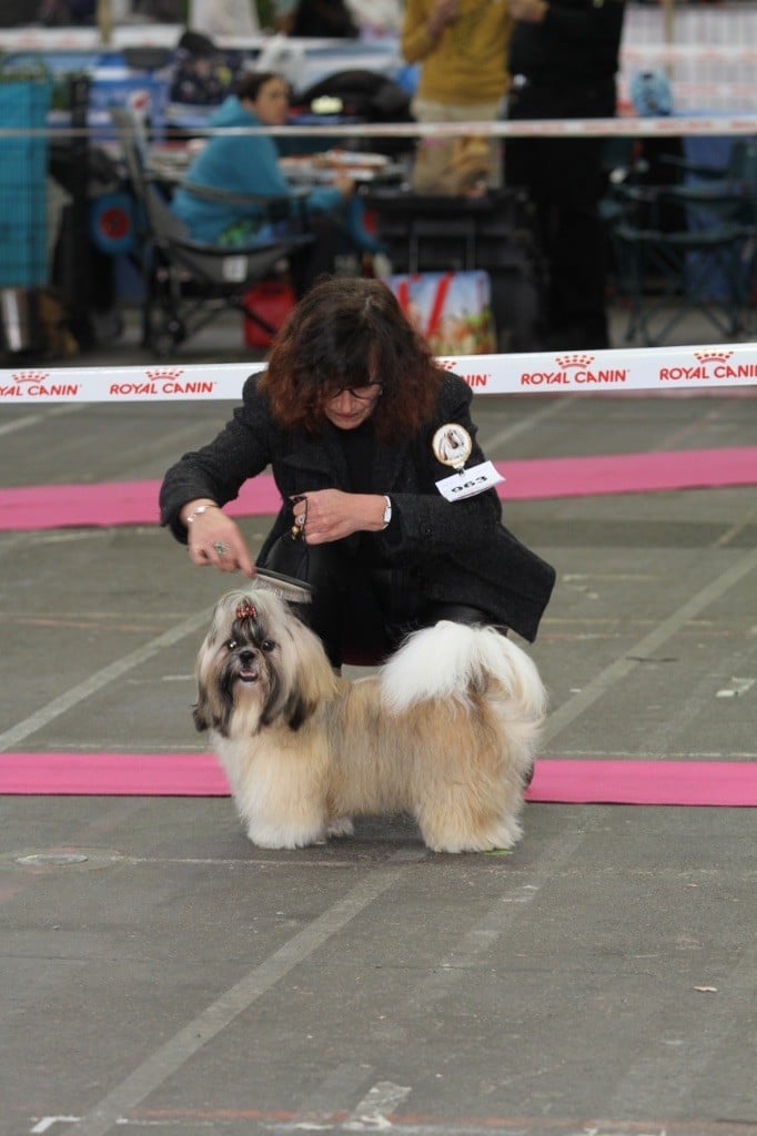 Publication : The Tresors by Lou