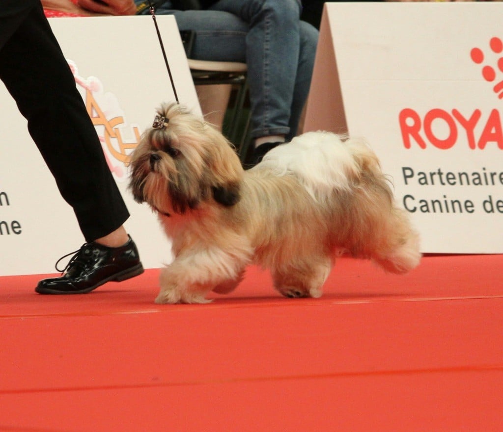 Publication : The Tresors by Lou