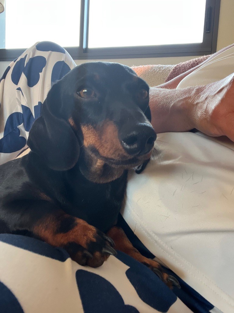 Vanille framboise Du Clos Des Bords De Mer