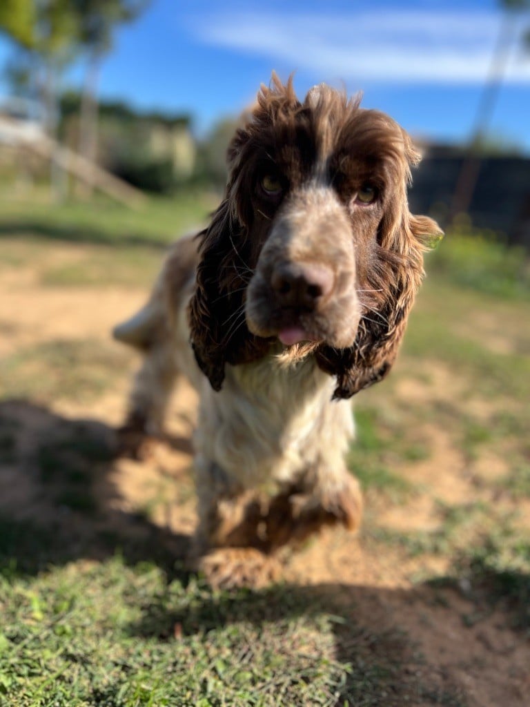 Violette solo il nome Ar Ti Marellek