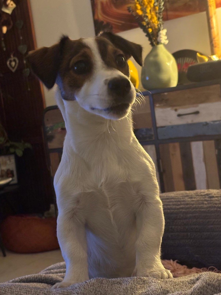 Vadrouille mon zouille Des Niglots Du Gard