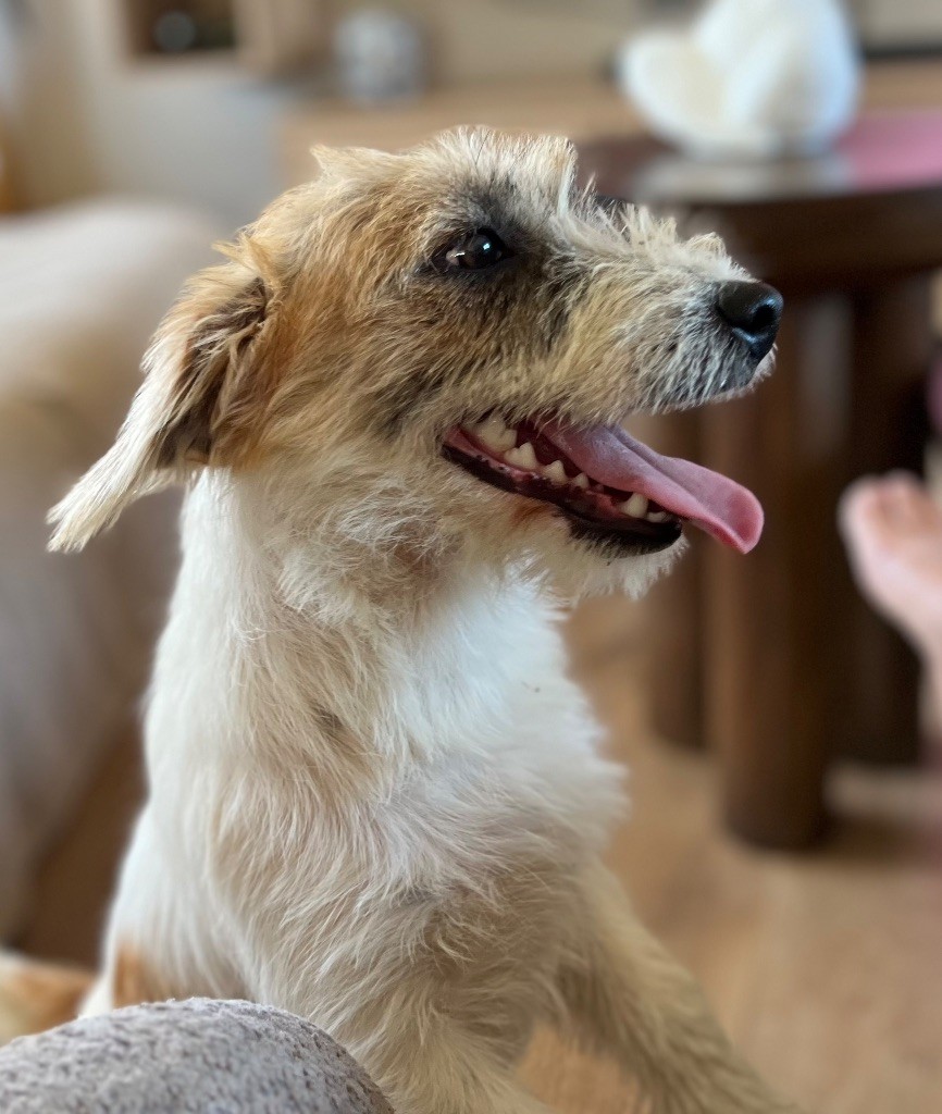 Apollo petite fusee du Domaine De Léon De La Seille