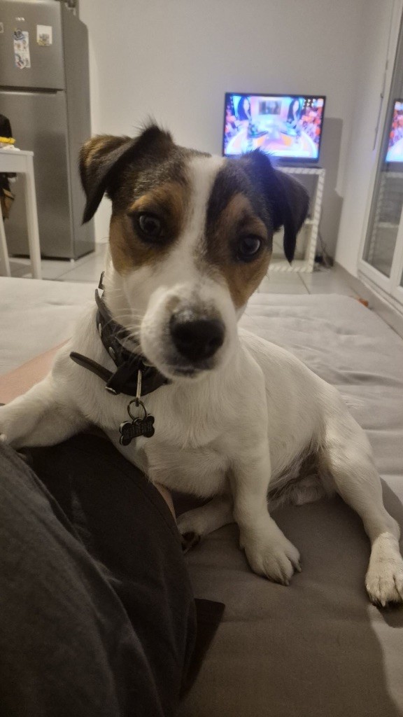 Vadrouille mon zouille Des Niglots Du Gard