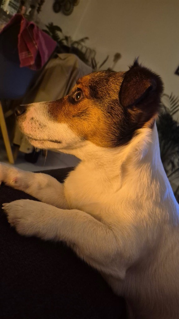 Vadrouille mon zouille Des Niglots Du Gard