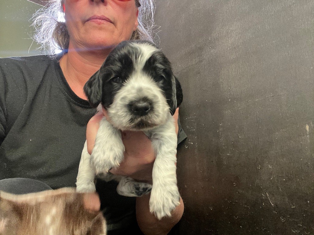 AROME ET CANNELLE dit ZOE