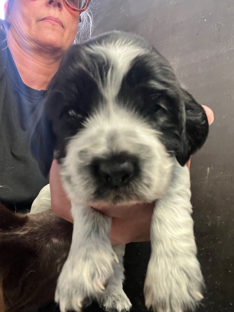 AROME ET CANNELLE dit ZOE