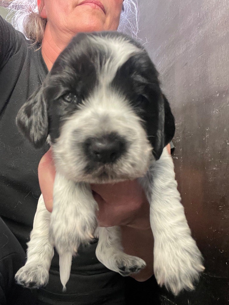 AROME ET CANNELLE dit ZOE