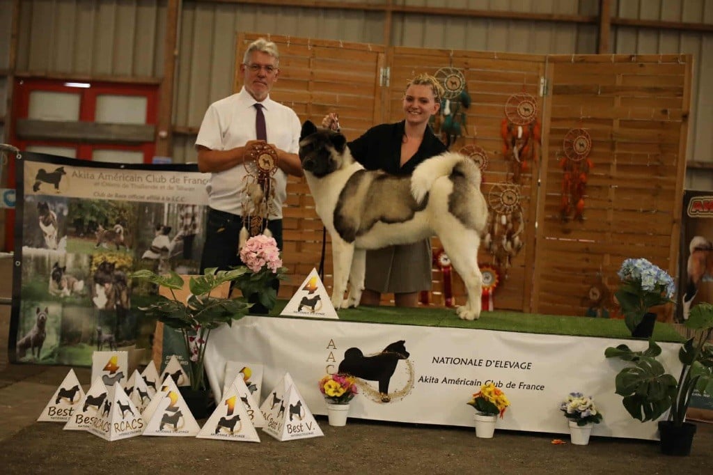 Rampage Spirit Very important puppy - 4ème excellente / 5