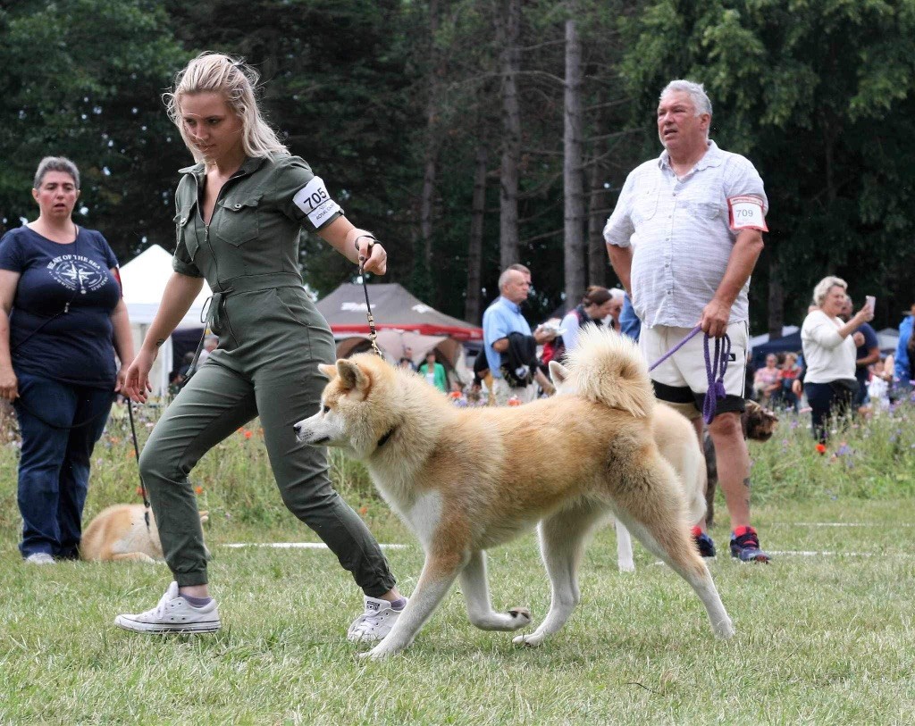 Rampage Spirit Taya - 1ère excellent-CACSJ-BOBJ