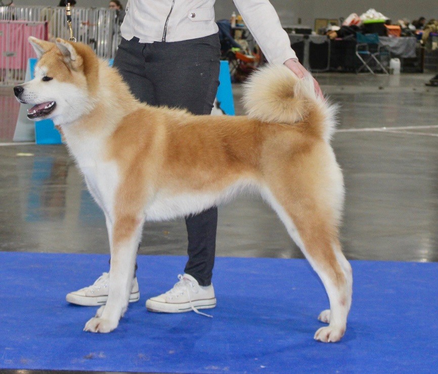 Rampage Spirit Taya - 2ème excellent