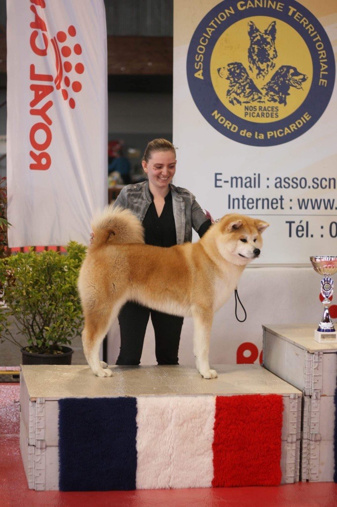 Rampage Spirit Taya - BOB PUPPY / RBIS PUPPY