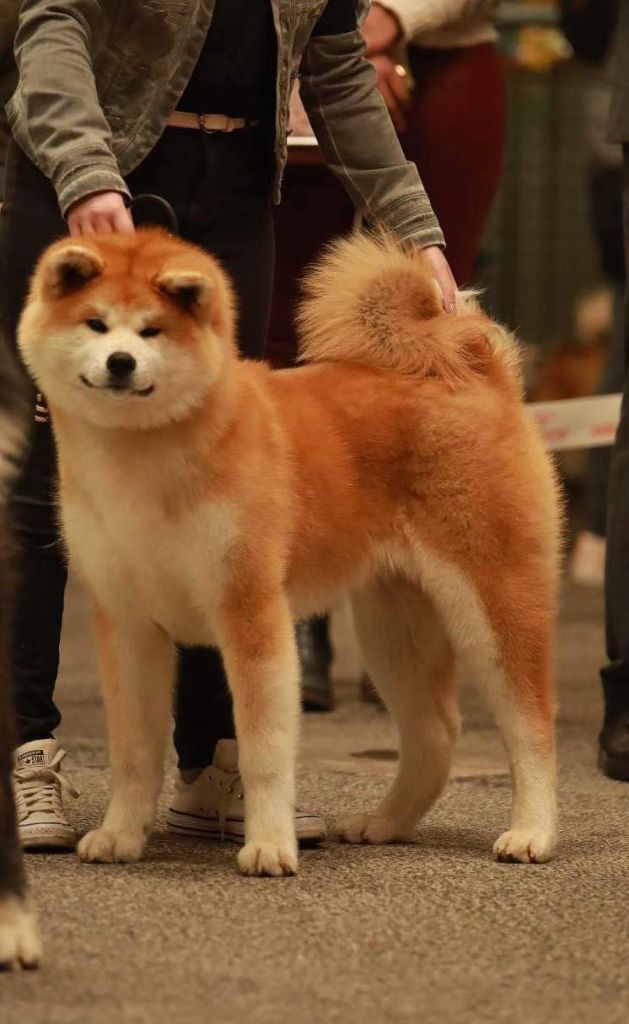 Rampage Spirit Taya - Très Prometteur