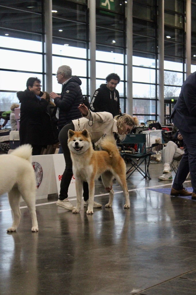 Rampage Spirit Taya - 2ème excellent