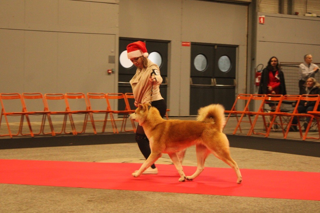 Rampage Spirit Taya - 1er excellent / CACS / BOB