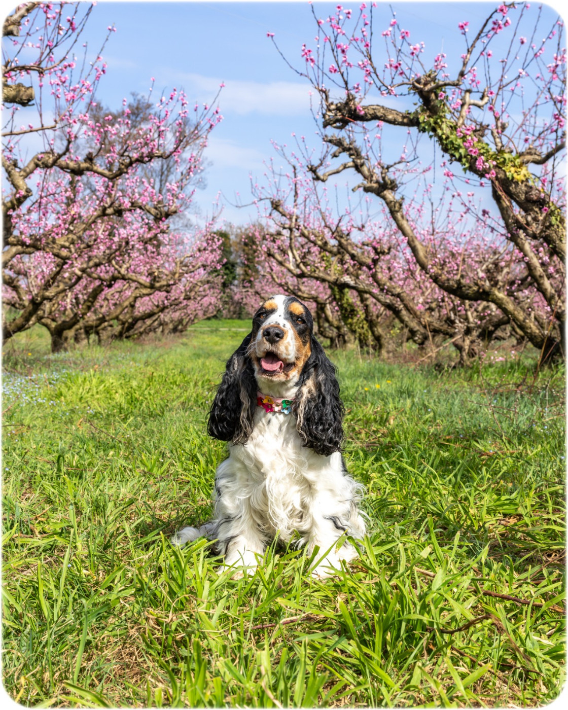 Telma Du Berceau Des Chouquettes
