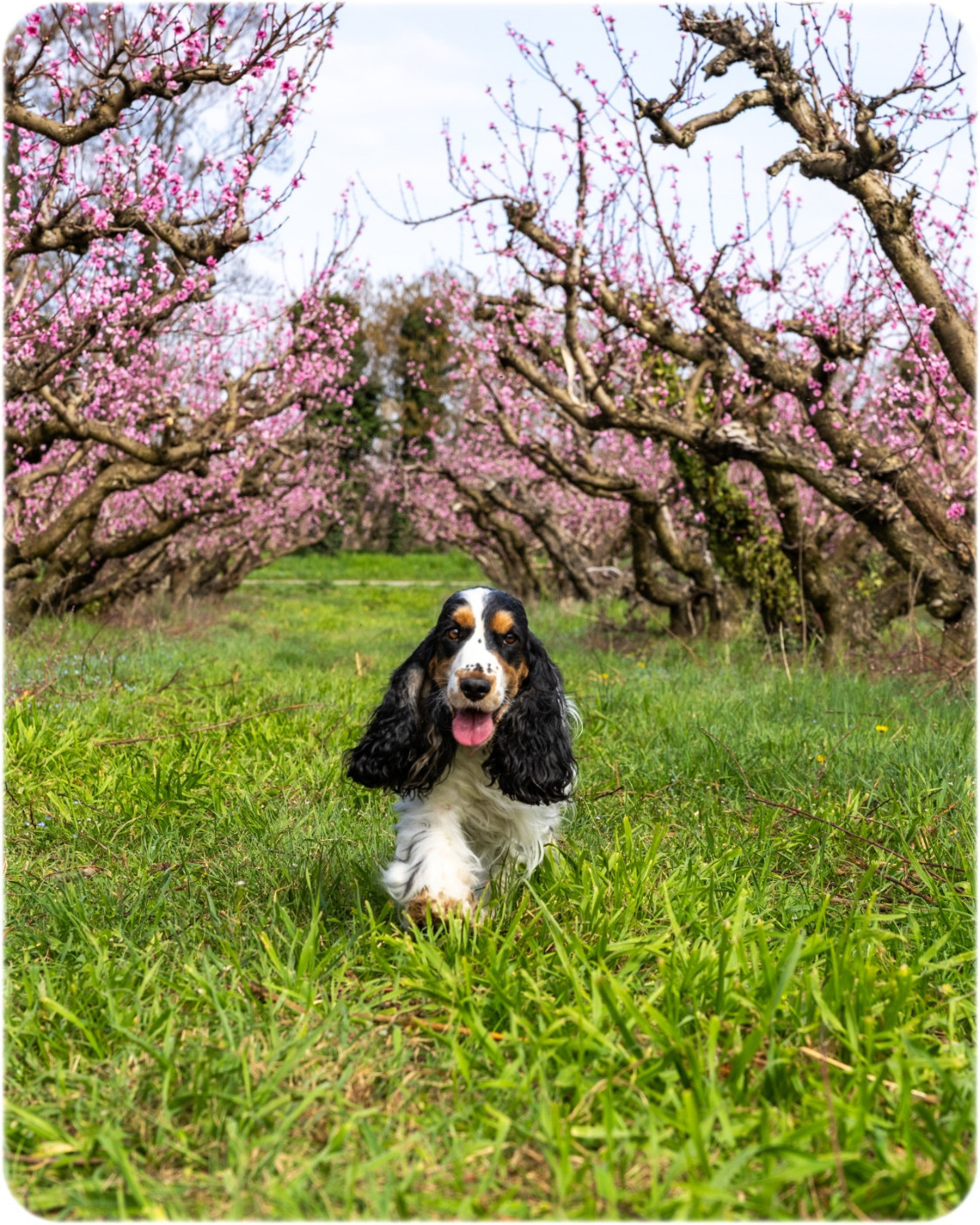 Telma Du Berceau Des Chouquettes