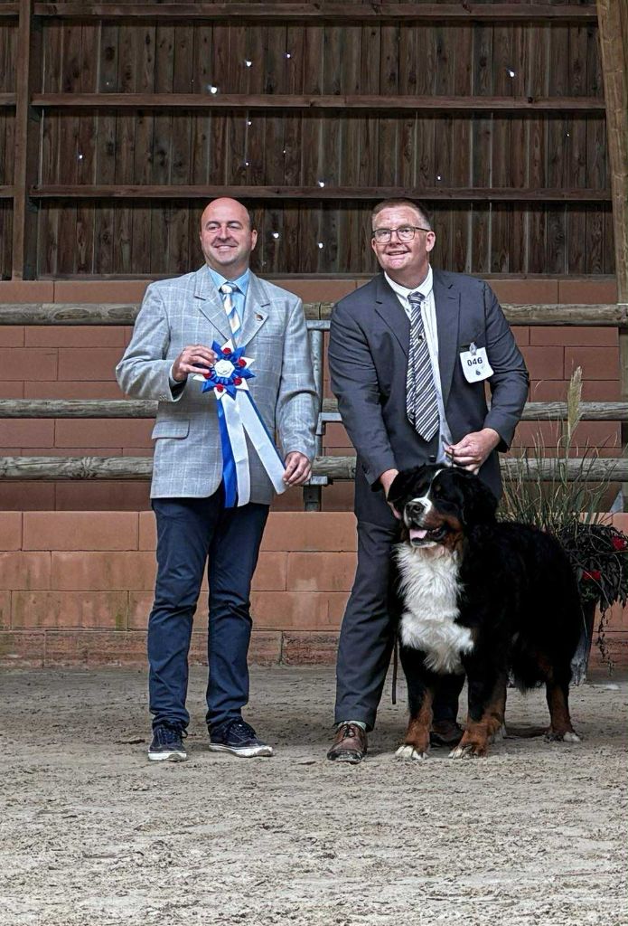 CH. Unbelievable ulf du royaume des reves