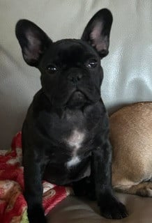 Billie