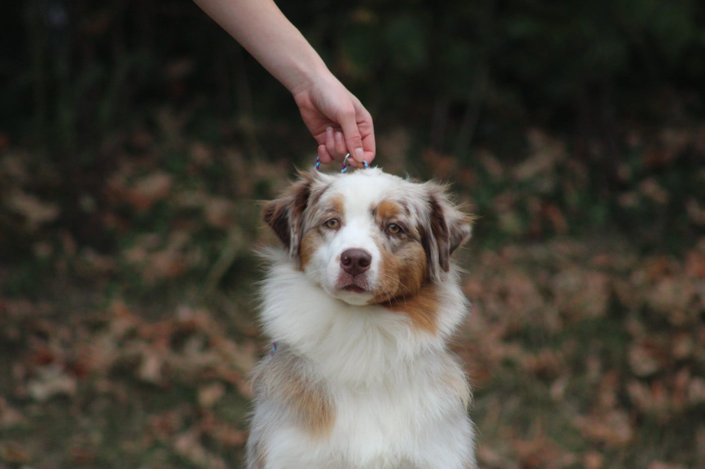 Blue Memories Voglio andare-in-sicilia