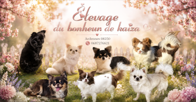Du Bonheur De Kaïza