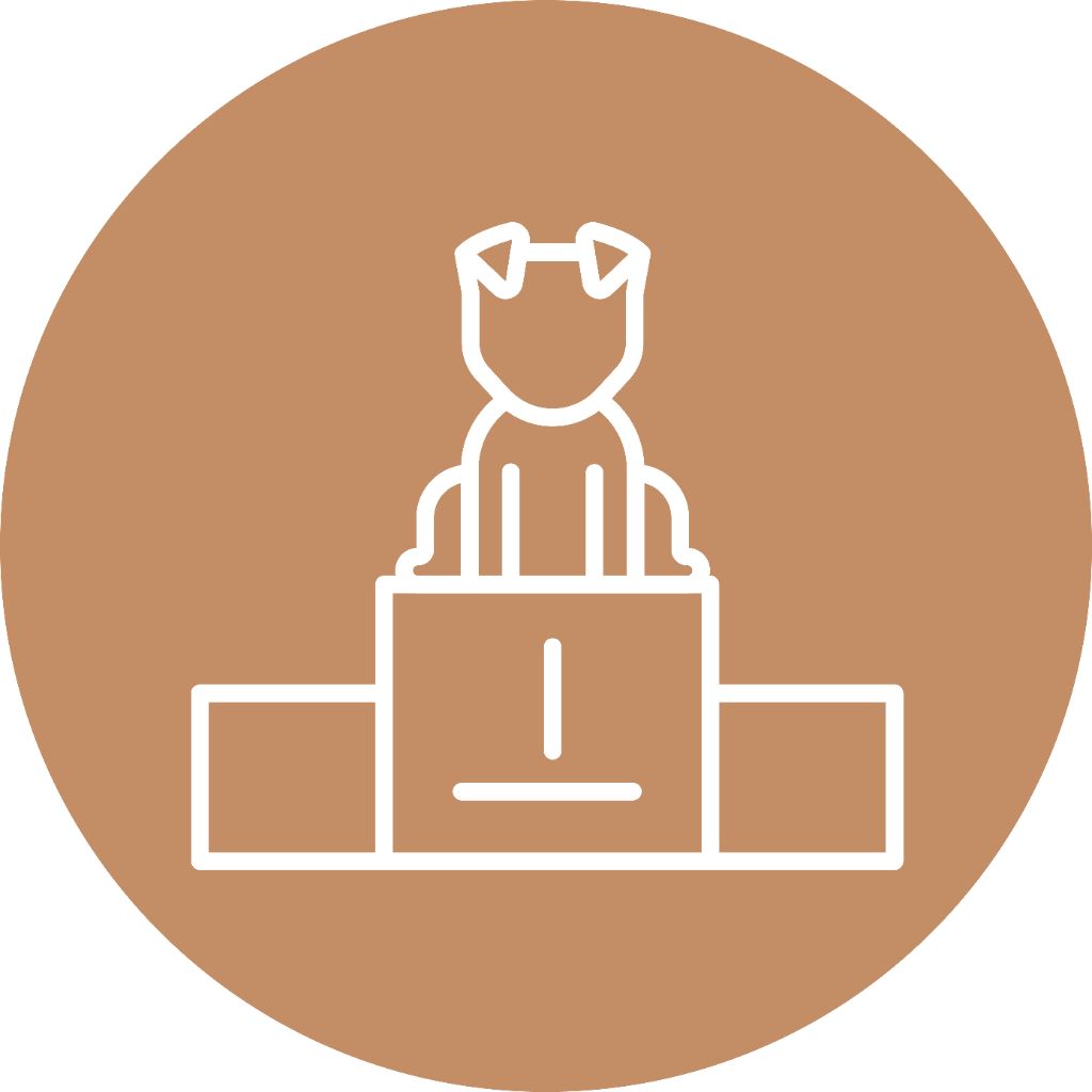 Tara ninja Of The Peaky's French-House - 2ème Excellent + RCACS + Cotation 3