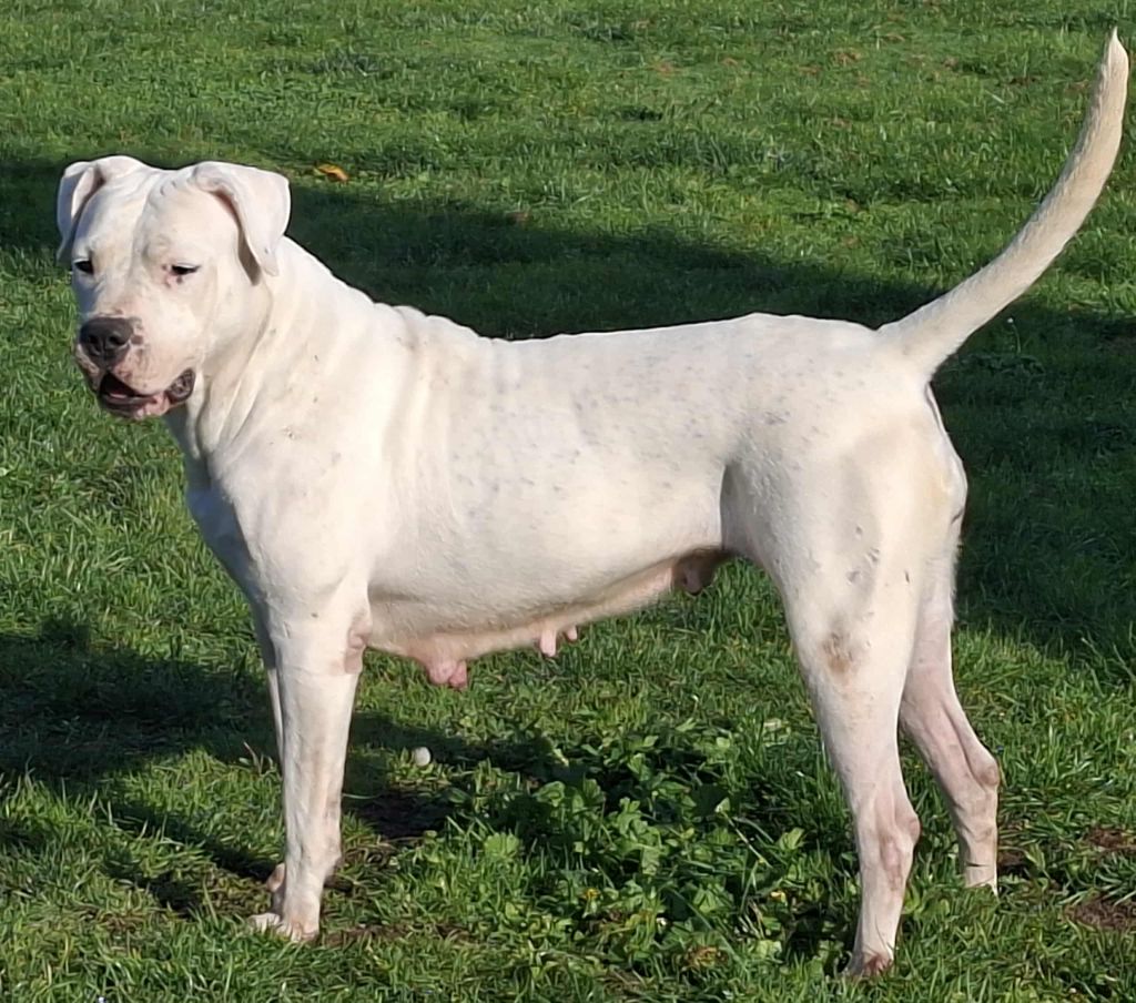 Frida hijos de la suerte