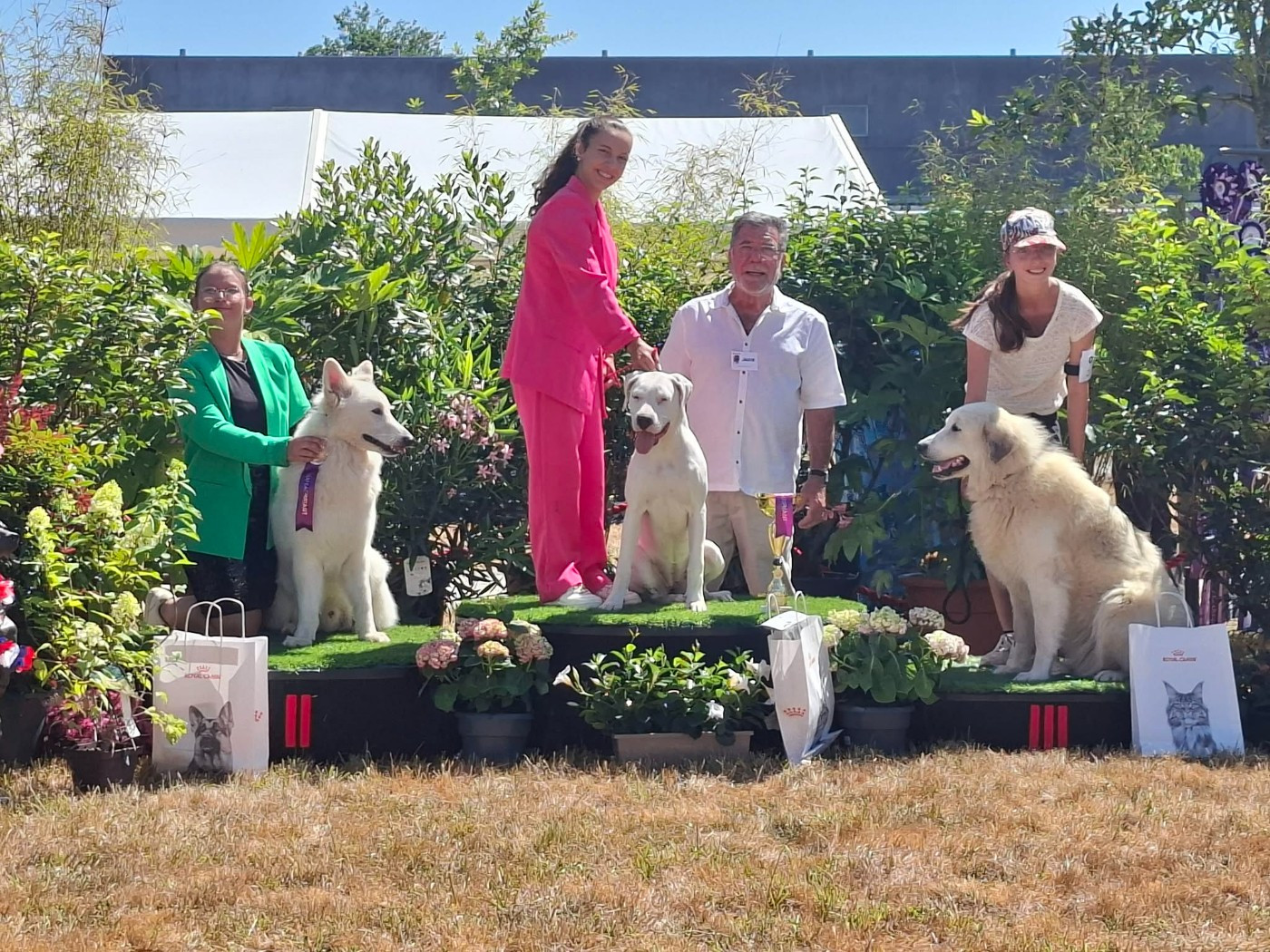Esperencia las alcanas - 1ère Très prometteuse - Meilleure Puppy - 1ere sur le ring d honneur en jeune présentateur avec Inaya