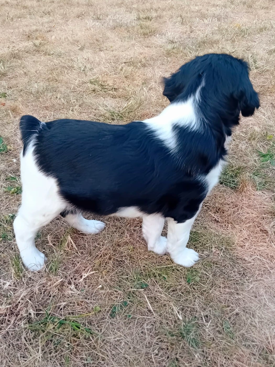 BACI DU RIOT DE LA LOUVIÈRE