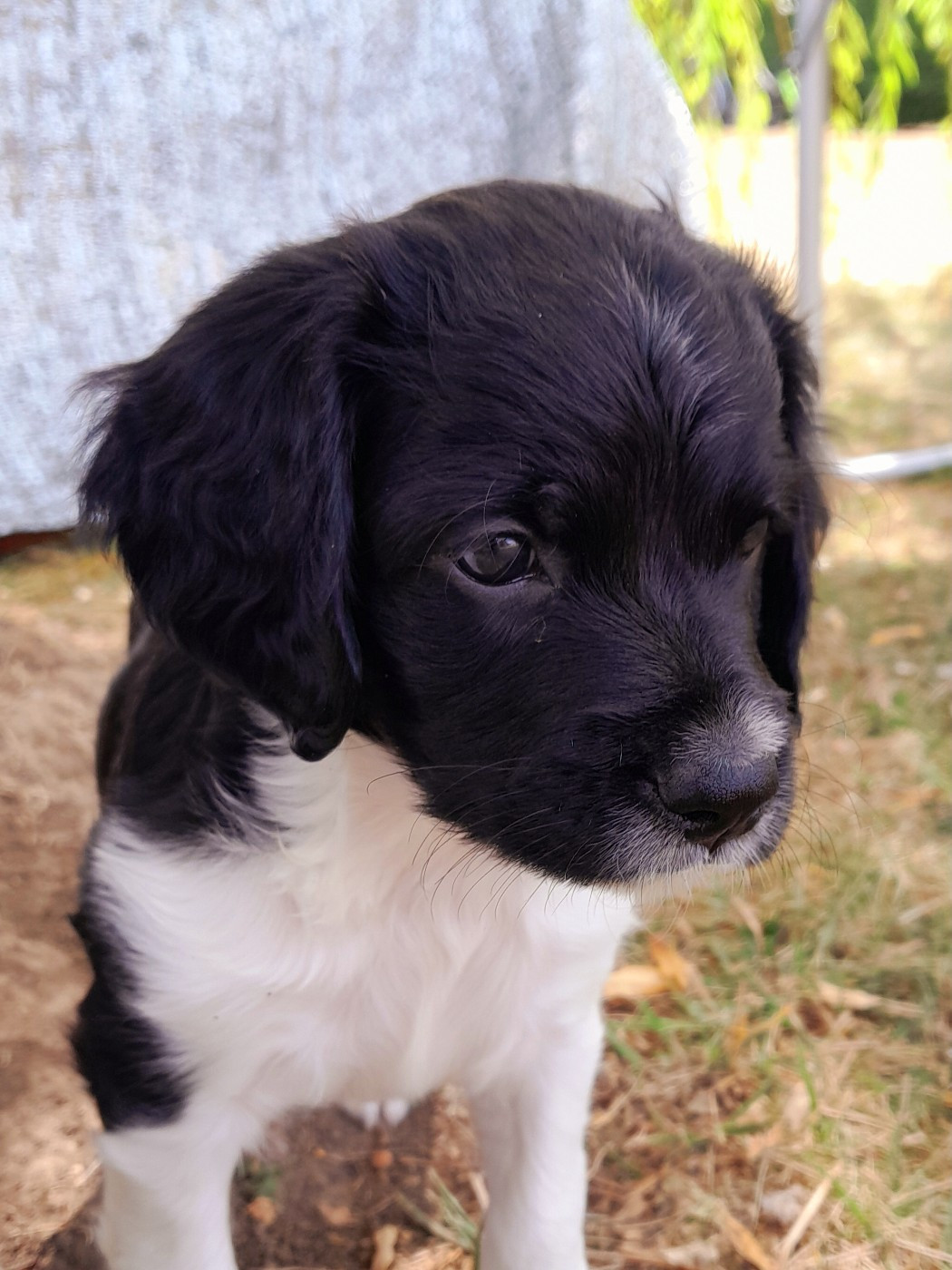 BACI DU RIOT DE LA LOUVIÈRE