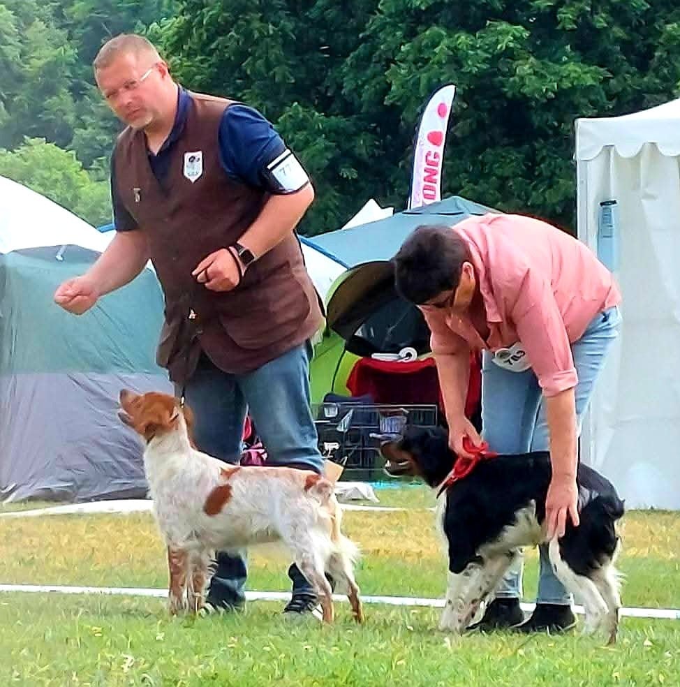 Viikki Du Riot De La Louvière - 1er EXCELLENT / CACS Jeune