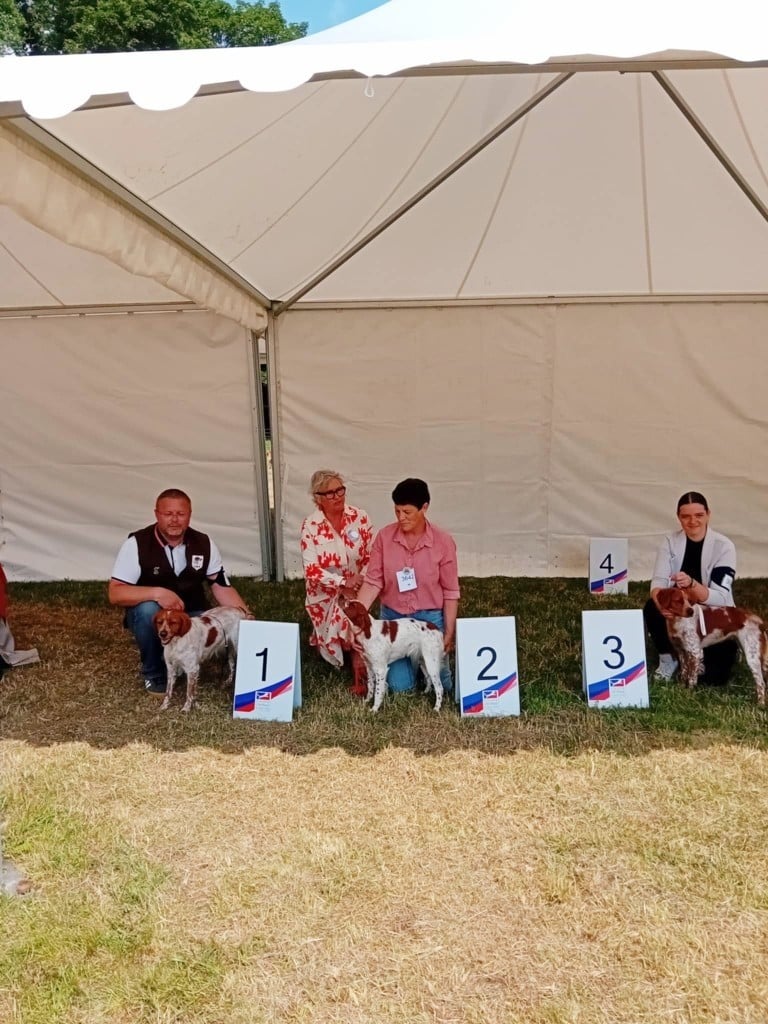 Viikki Du Riot De La Louvière - 1er EXCELLENT