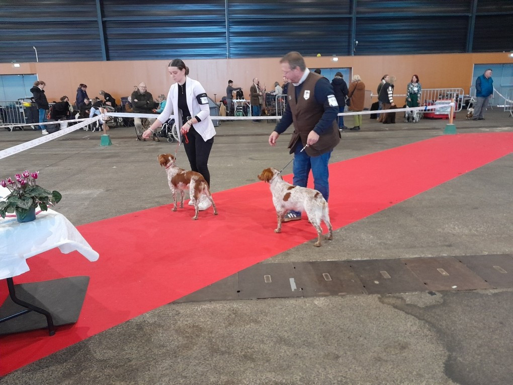 Viikki Du Riot De La Louvière - 1er EXCELLENT