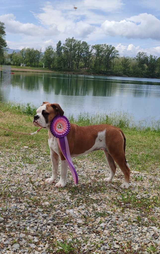 Vendetta Des sources sacrees - Meilleur Baby