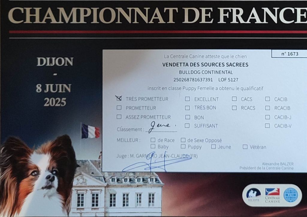 Vendetta Des sources sacrees - 2 ème très prometteur