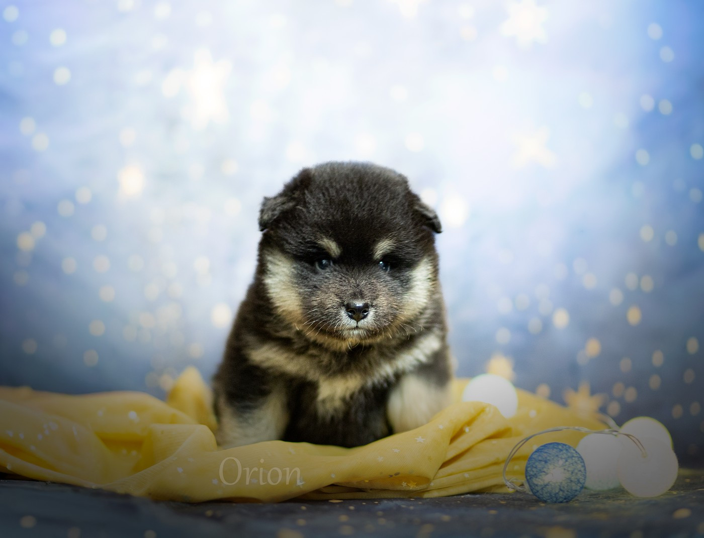 Zodiac Orion