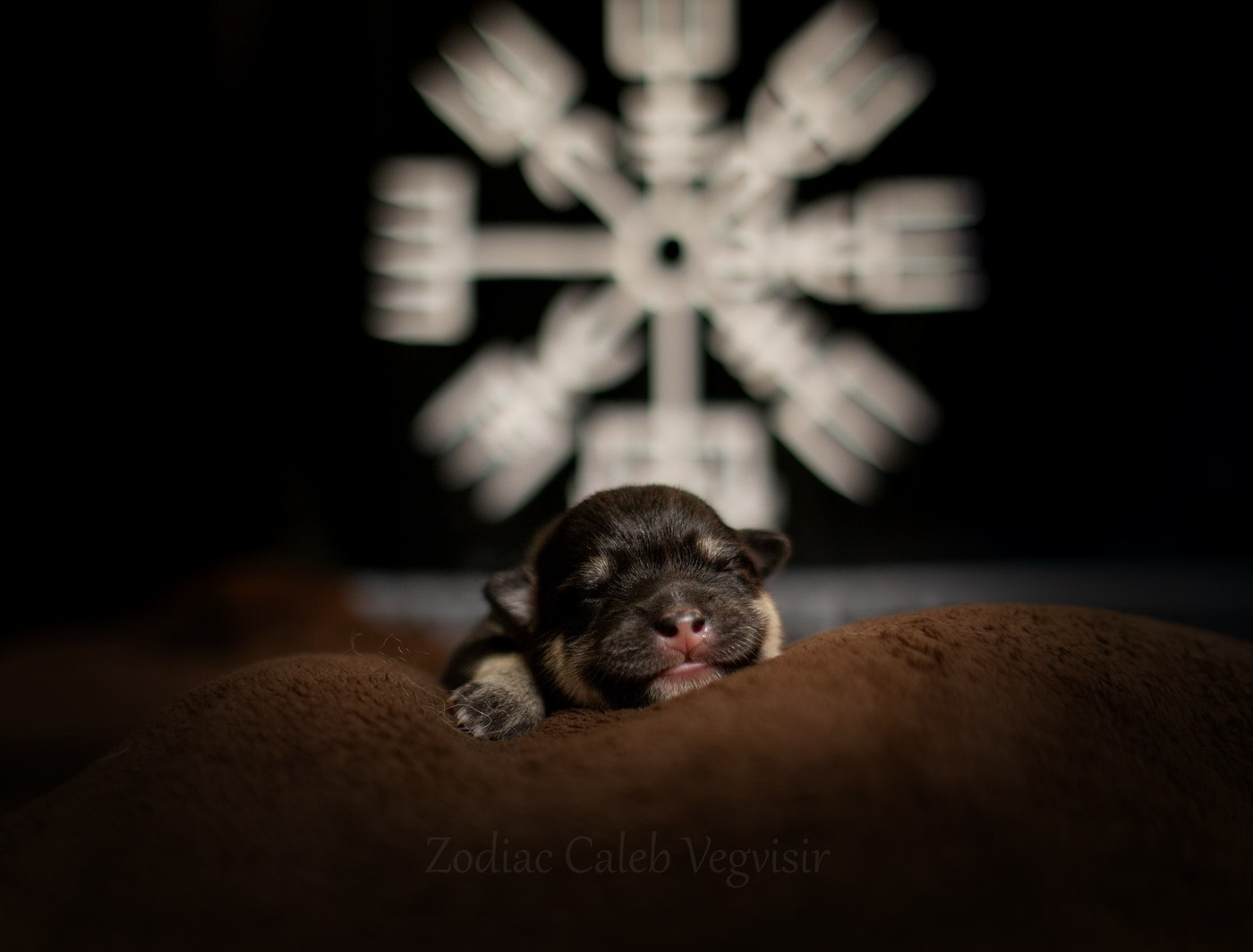 Zodiac Caleb