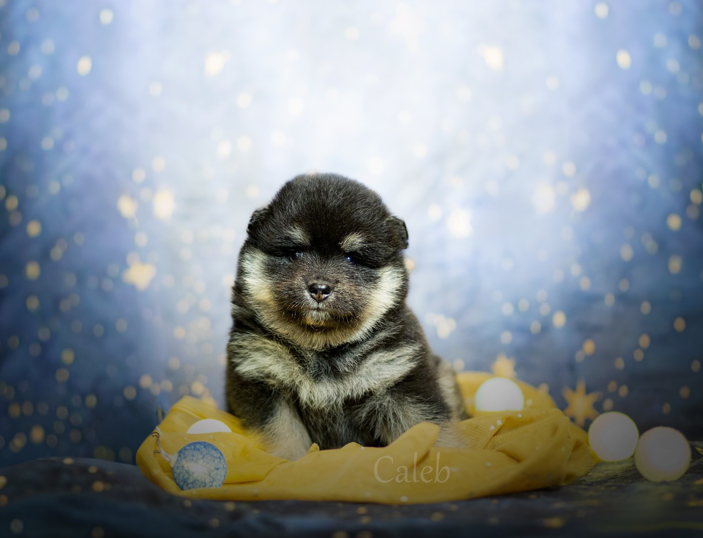 Zodiac Caleb