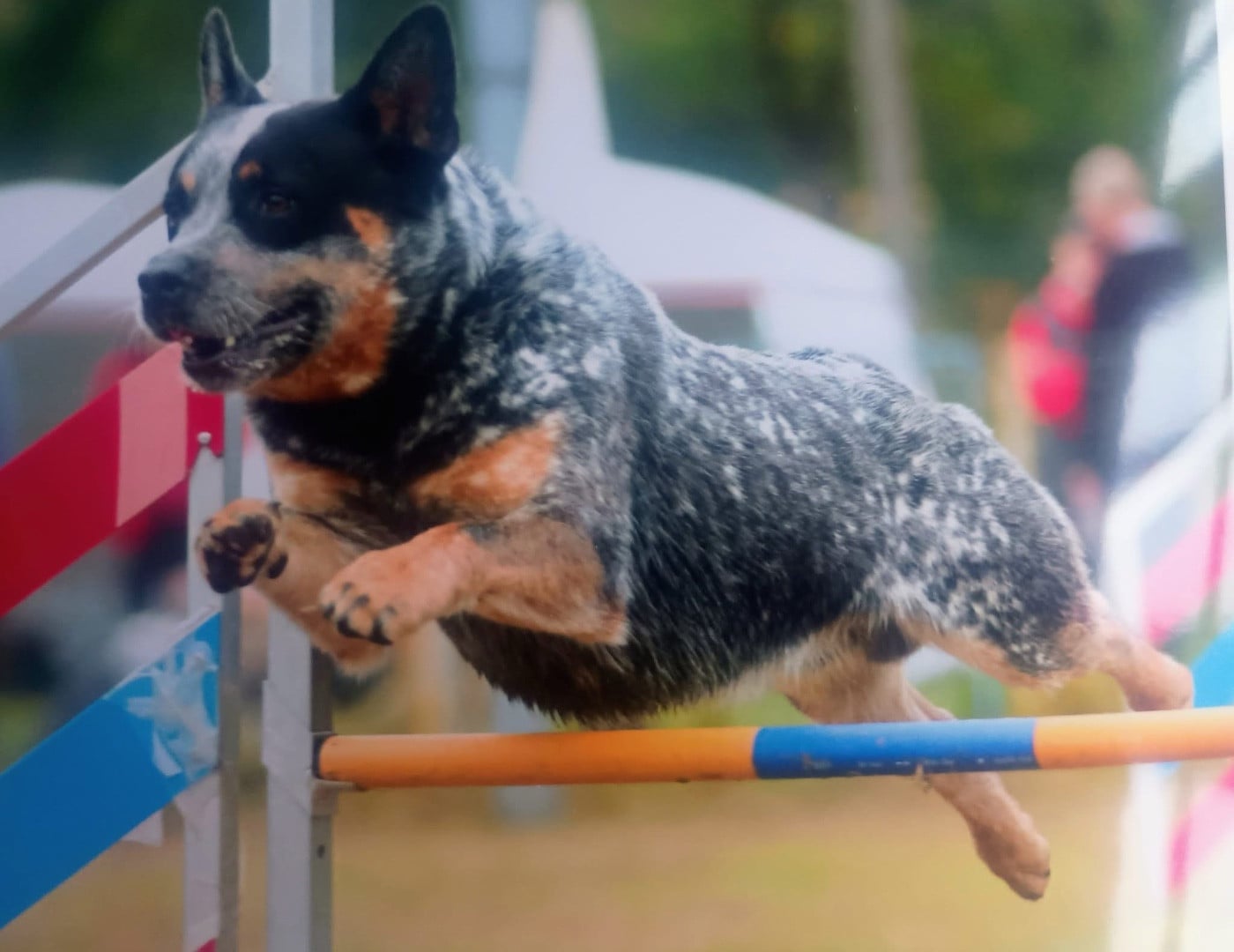 Ully dit sully Des Trésors De Méléa