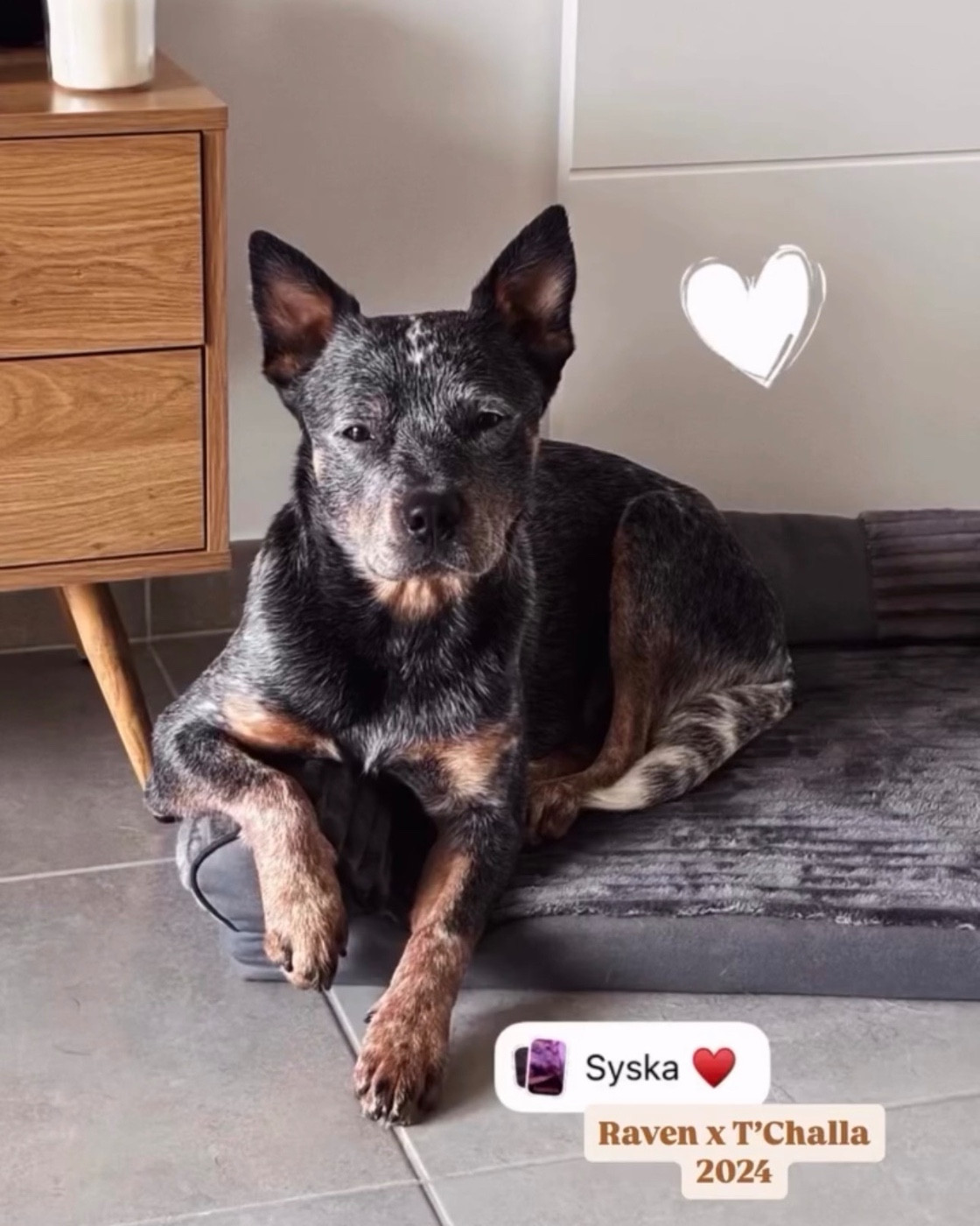 Valhalla dit syska Des Trésors De Méléa