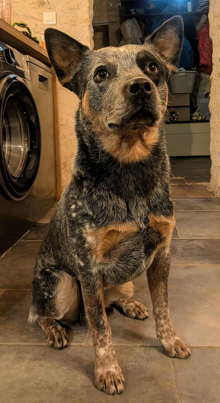 Vida loca dit vetek Des Trésors De Méléa