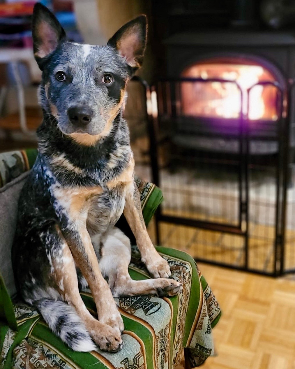 Vivo per leï Des Trésors De Méléa